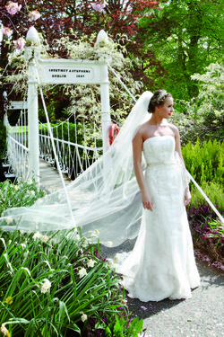 Bride on bridge image